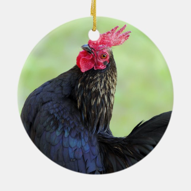 Fighting Rooster Ceramic Ornament (Back)