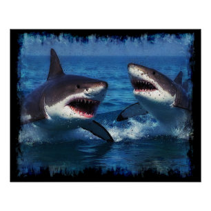 Fighting Sharks  Poster