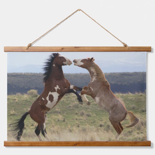 Fighting Stallions, Steens Mountains, Oregon Hanging Tapestry (Front)
