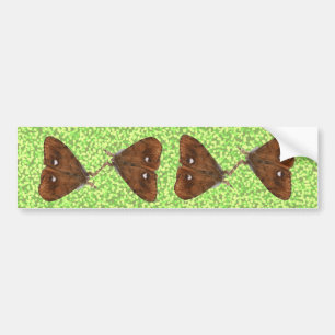 Fighting Vapourer Moths Bumper Sticker