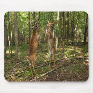 Fighting Whitetail Bucks Mouse Pad
