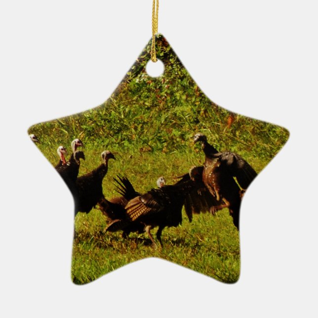 Fighting Wild Turkeys in The Smoky Mountains Ceramic Ornament (Front)