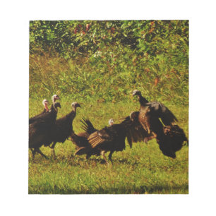 Fighting Wild Turkeys in The Smoky Mountains Notepad