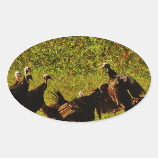 Fighting Wild Turkeys in The Smoky Mountains Oval Sticker (Front)