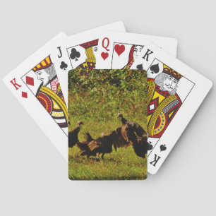 Fighting Wild Turkeys in The Smoky Mountains Playing Cards