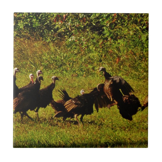 Fighting Wild Turkeys in The Smoky Mountains Tile (Front)