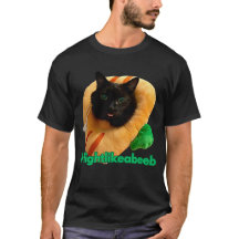 #fightlikeabeeb shirt