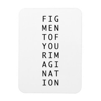 Figment of your imagination abstract philosophy magnet