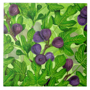 Figs 2 tile
