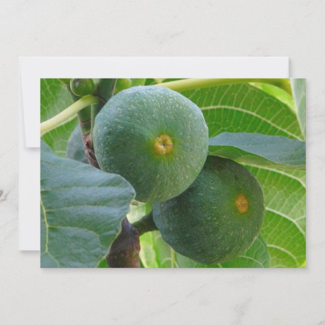 Figs Invitation (Front)