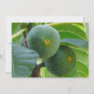 Figs Invitation