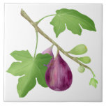 Figs on a branch tile<br><div class="desc">Figs on a branch,   with white background,  painting.</div>