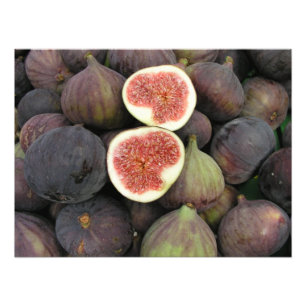 Figs Photo Print
