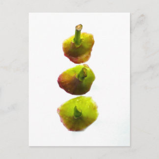 Figs Postcard