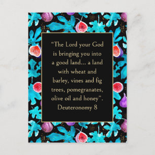 Figs Promised Land Deuteronomy 8 Bible Verse  Postcard