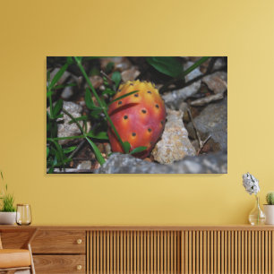 figue de barbarie sur pierres impression sur toile