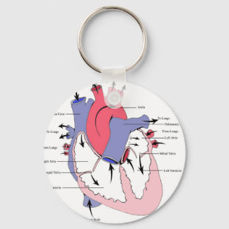 Figure 2. Normal Heart Function.jpg Keychain