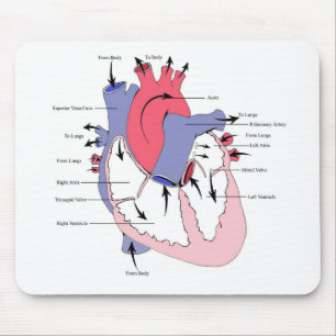 Figure 2. Normal Heart Function.jpg Mouse Pad