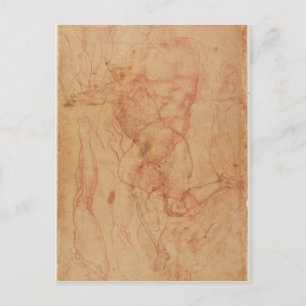 Figure Study Postcard