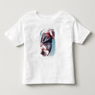 Figurehead from unknown sailing ship toddler t-shirt
