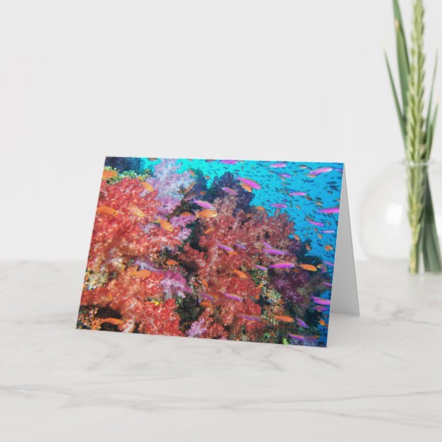 Fiji Colour Splash Card (Front)