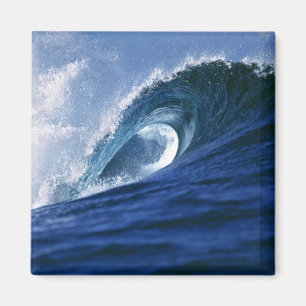 Fiji Islands, Tavarua, Cloudbreak. A wave Magnet