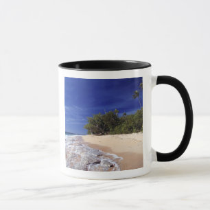 Fiji Islands, Tavarua. This beach on Tavarua, Mug