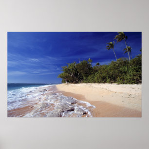 Fiji Islands, Tavarua. This beach on Tavarua, Poster