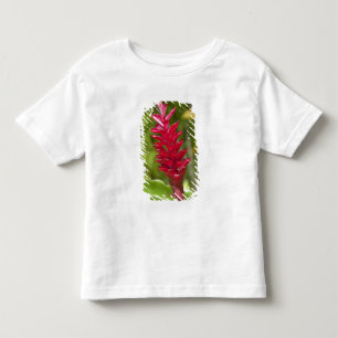 Fiji, Viti Levu Island. Flower. Toddler T-shirt