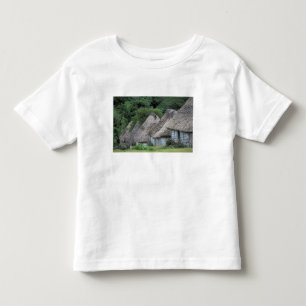 Fiji, Viti, Traditional hut houses. Toddler T-shirt