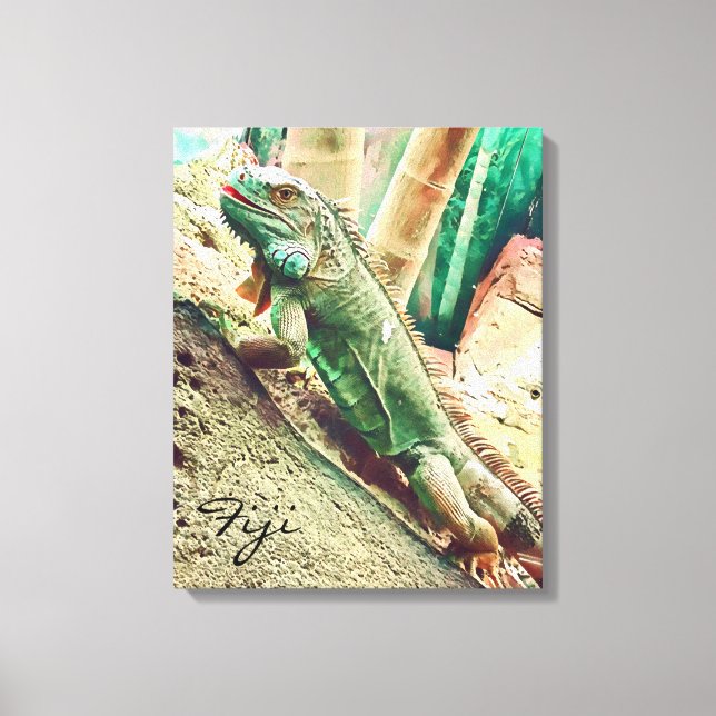 Fijian Iguana lizard reptile Canvas Print (Front)