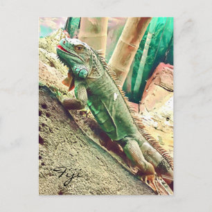 Fijian Iguana lizard reptile Postcard