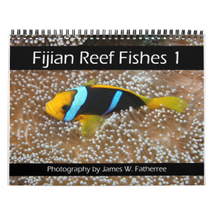 Fijian Reef Fishes Calendar 1