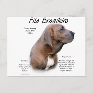 Fila Brasileiro History Design Postcard