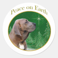 Fila Brasileiro Peace
