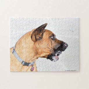Fila Brasiliero Mastiff Puzzle