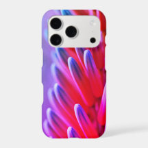 Filaments de fleurs