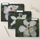 File Folders - Southern Magnolia