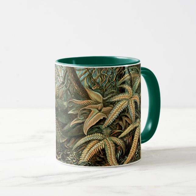 Filicinae by Ernst Haeckel, Vintage Fern Plants Mug (Front Right)