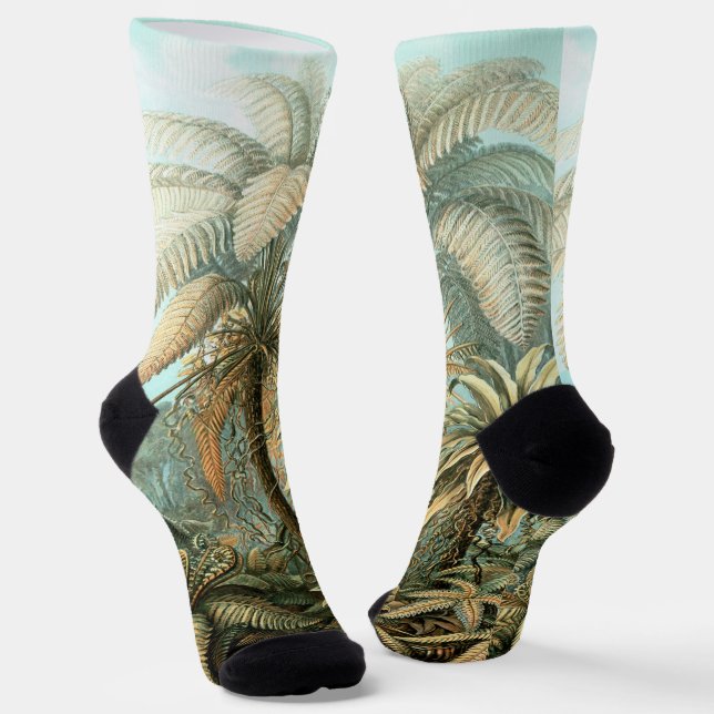 Filicinae by Ernst Haeckel, Vintage Fern Plants Socks (Angled)