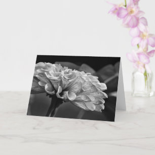 Filigree Nature Photography Blank Card