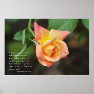Filipenses 4:8 con rosa poster