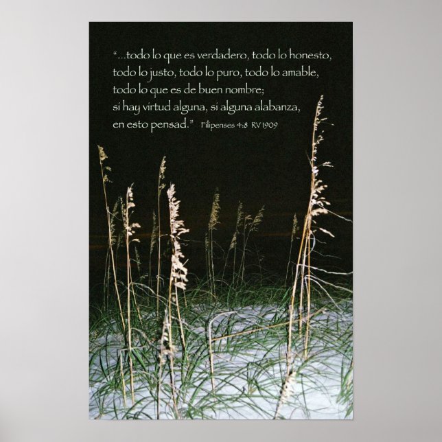 Filipenses 4-8b poster (Front)