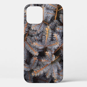 FILL THE FRAME PHOTOGRAPH OF GREY PINE TREE LEAVES iPhone 12 CASE
