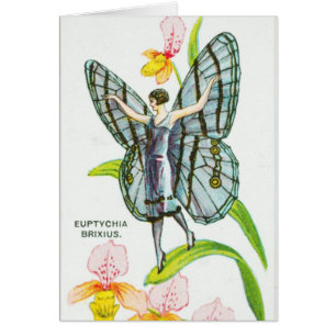 Fille argentée de papillon