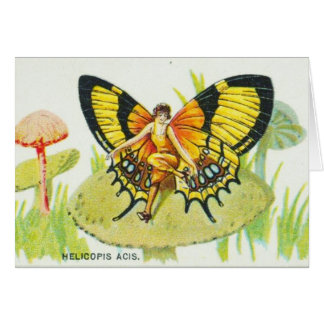 Fille de papillon sur le champignon