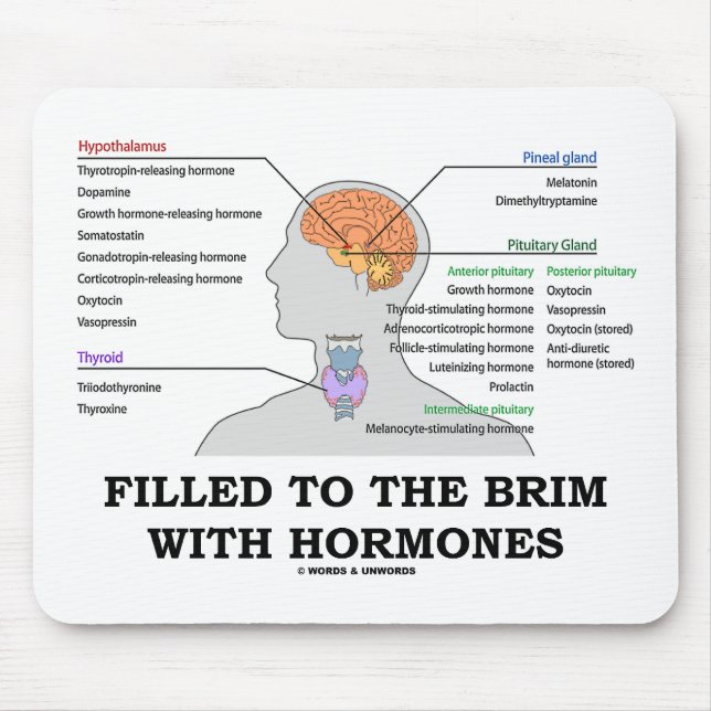 Filled To The Brim With Hormones (Anatomy) Mouse Pad (Front)