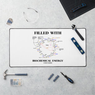 Filled with Biochemical Energy Krebs Cycle Hummor