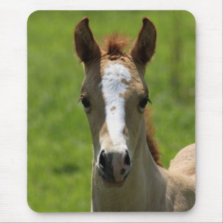 Filly Mouse Pad