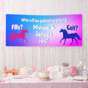 Filly Or Colt Western Style Banner
